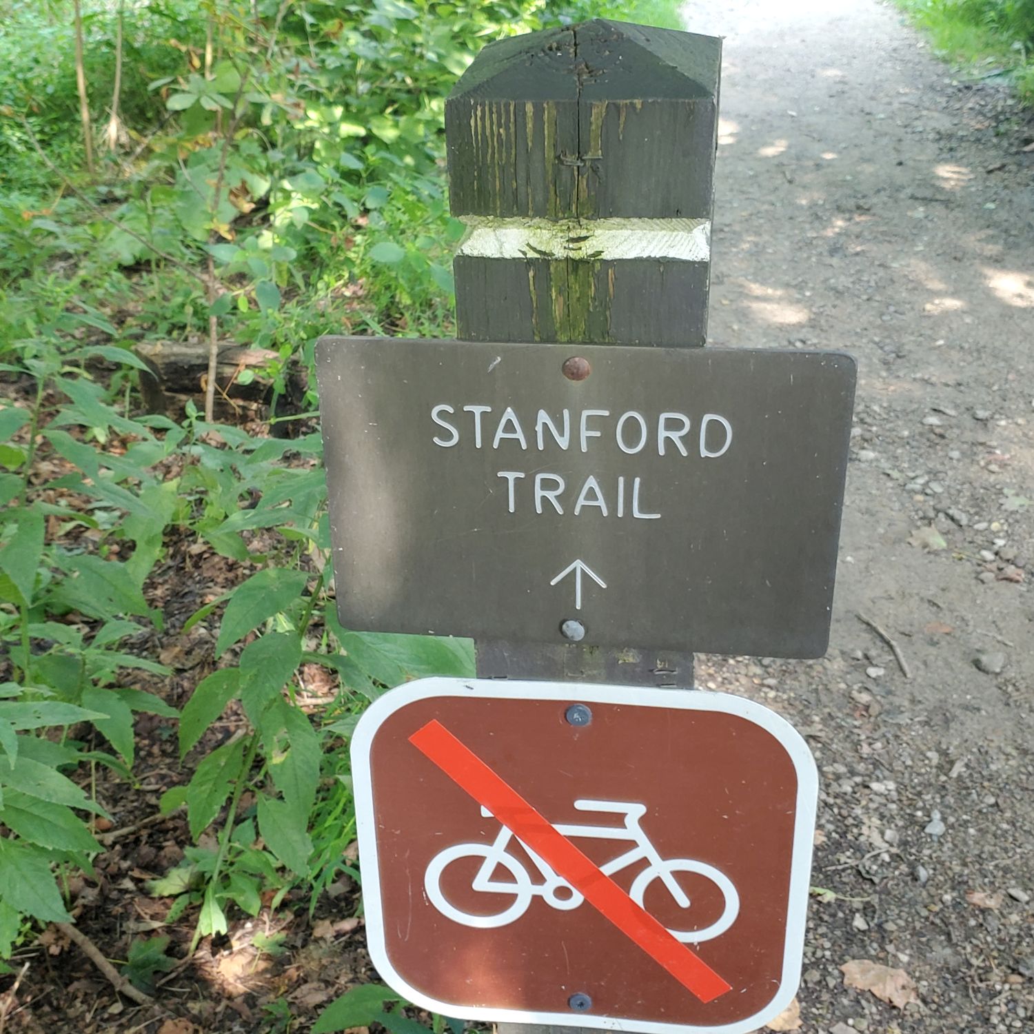 Stanford and Brandywine Gorge Trails 